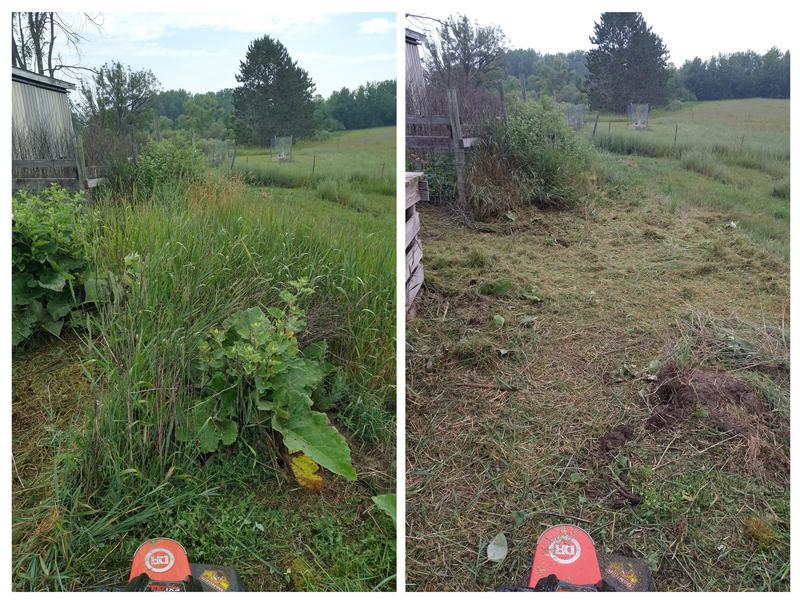 Tall Grass/Weeds Before & After