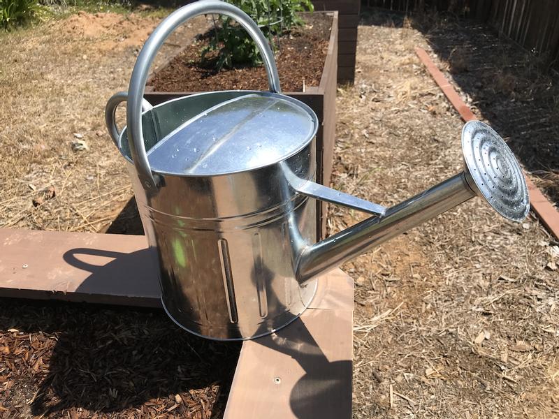 Shiny new watering can