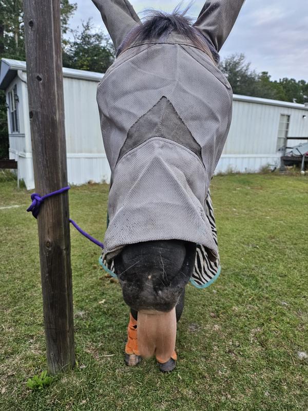 This is an older one- I have a couple so I can swap out for washing.