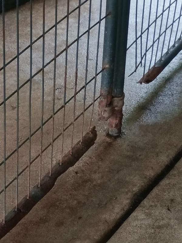 My Crappy kennels that are sitting on concrete.