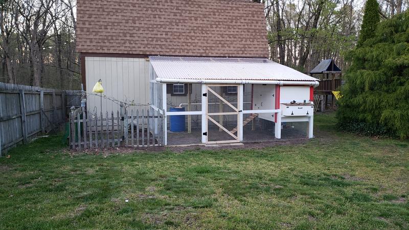 Chicken run protection