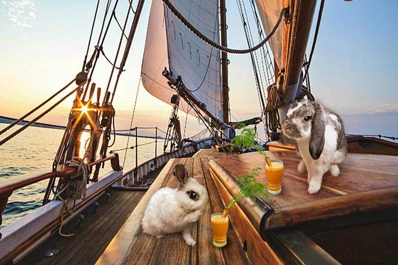 Momo and his gal, Diva, share carrot juices at sunset on the SS Lapine