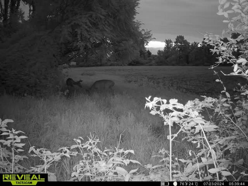 Just a couple of hours after putting down Buck Bourbon!