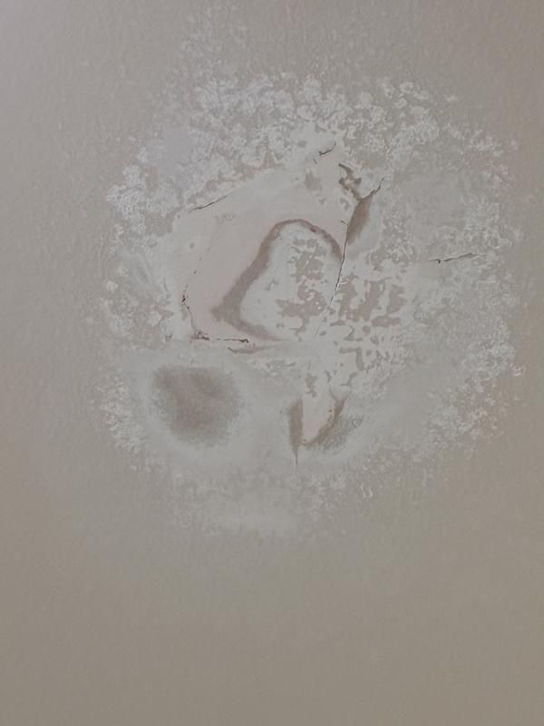 Review photo 6.