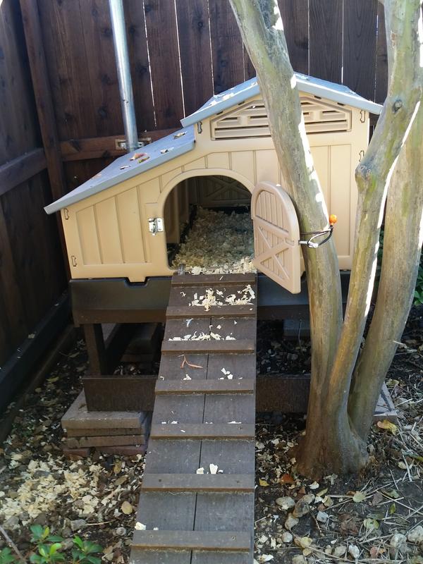 Completed SNAP AND LOCK HEN COOP