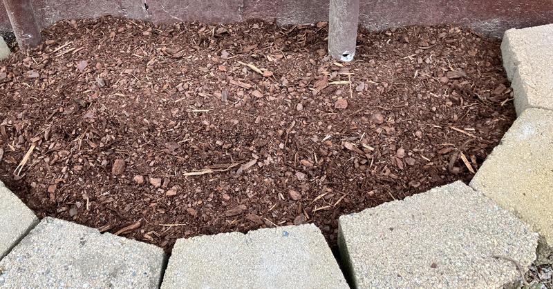 This is what was in the bag! Not soil! Ground mulch and sticks. Pathetic!