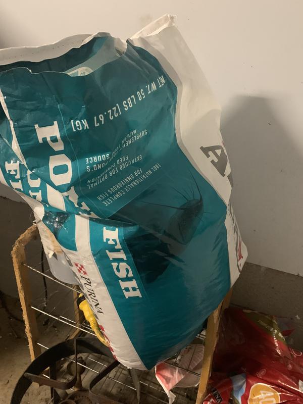 Big bag - great price