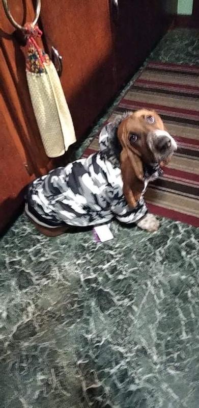 First winter first coat