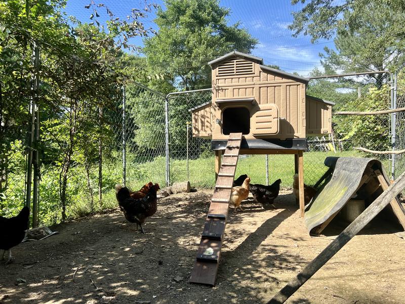 I also can’t put feeders in it like in my old big coop, so had to find a way to create a covered area for their food.