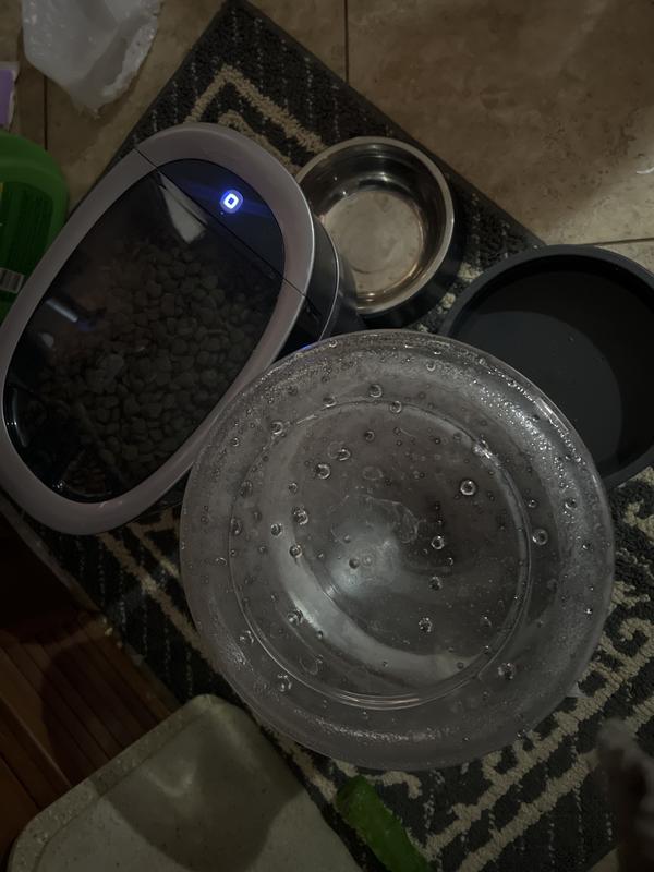 Both waterer and feeder works great especially for multiple dogs.