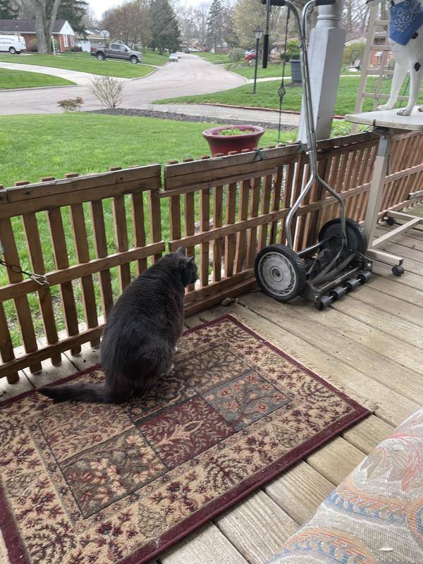 Front lawn beautiful.