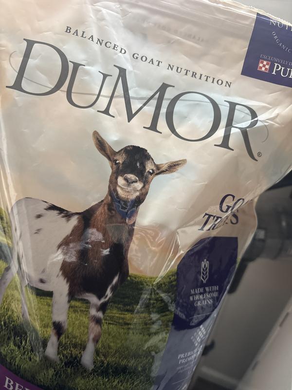 Goat treats