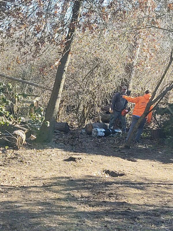 Roll of fence close but no cigar, tree math mathin...