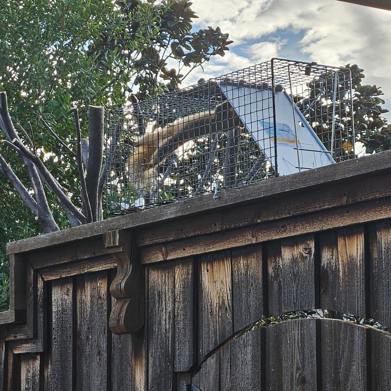 The Mission he chose to accept made his escape Impossible.