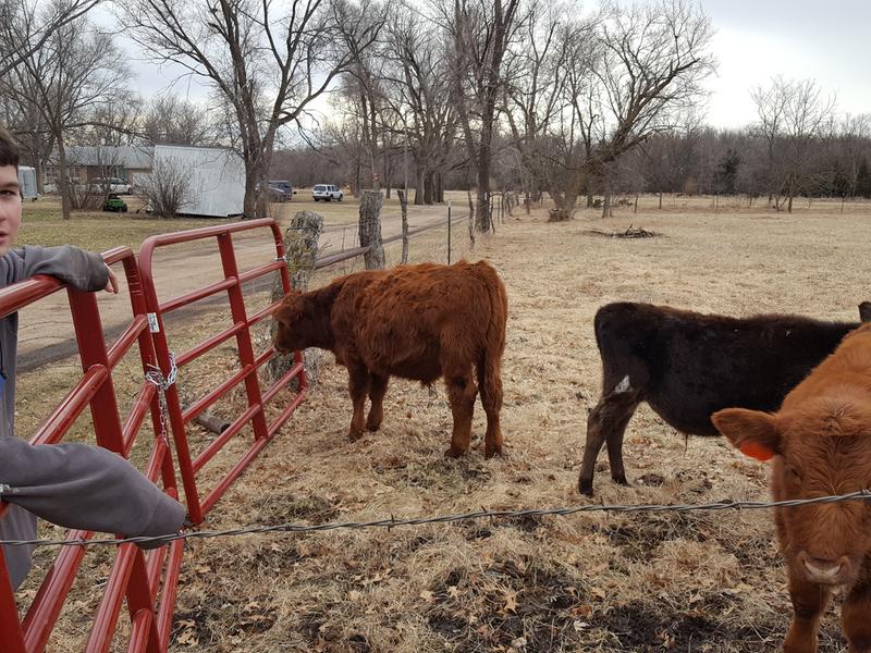 checking out the new gate