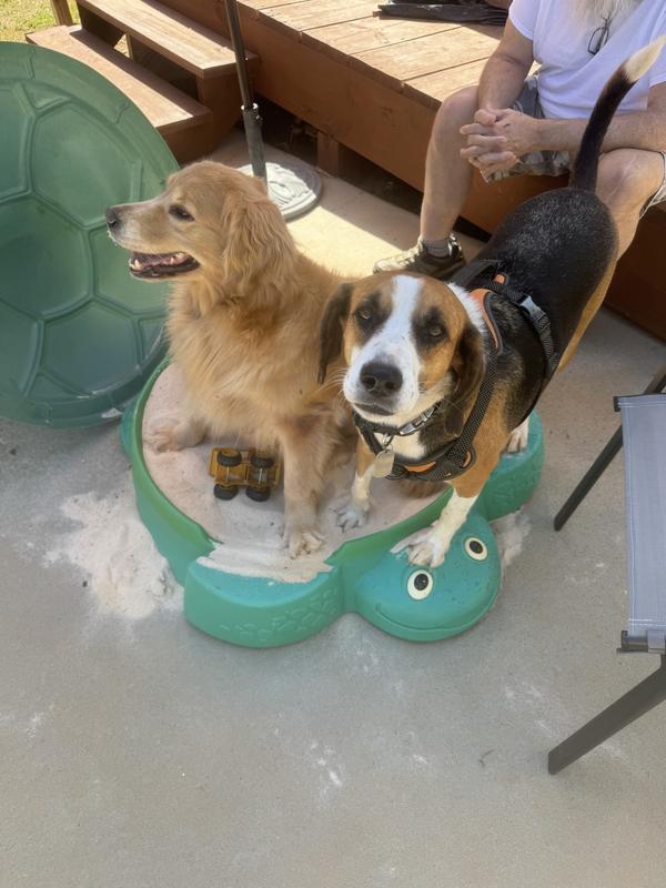Sandbox fun