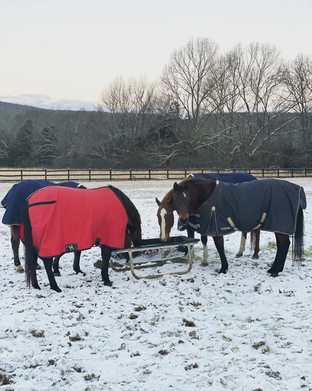 Nice and warm