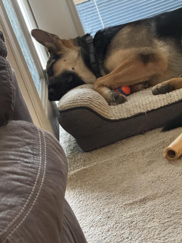 Took it to bed for nap time.