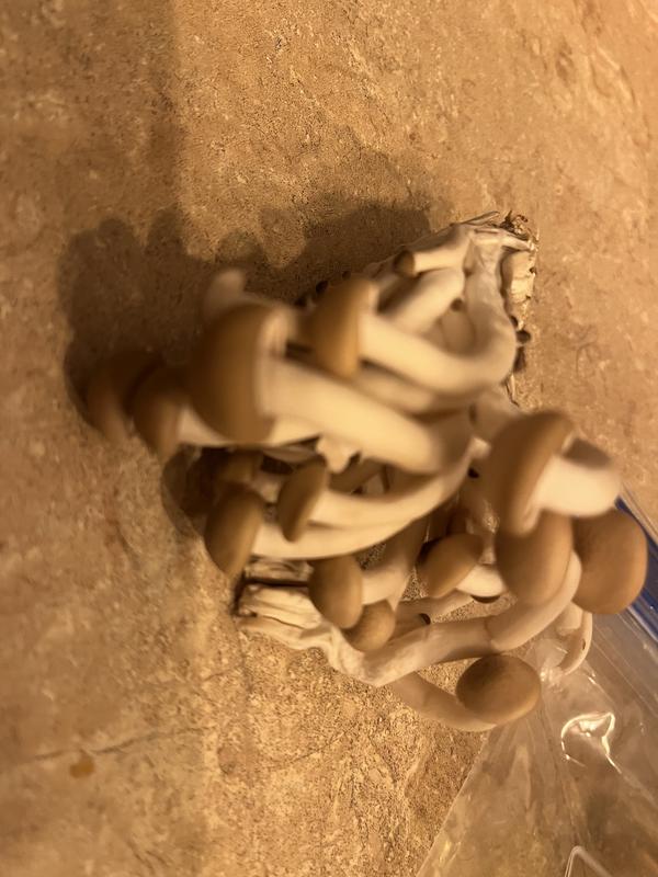 Review photo 3.