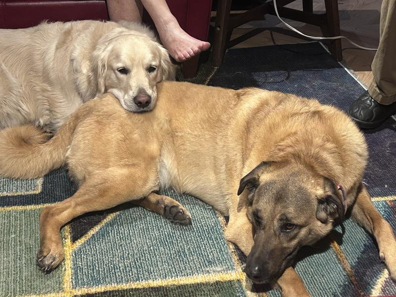 Ozzie and Otis satisfied
