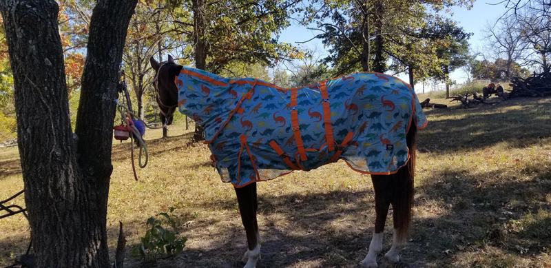 Doesn't look bad in the shadows either.