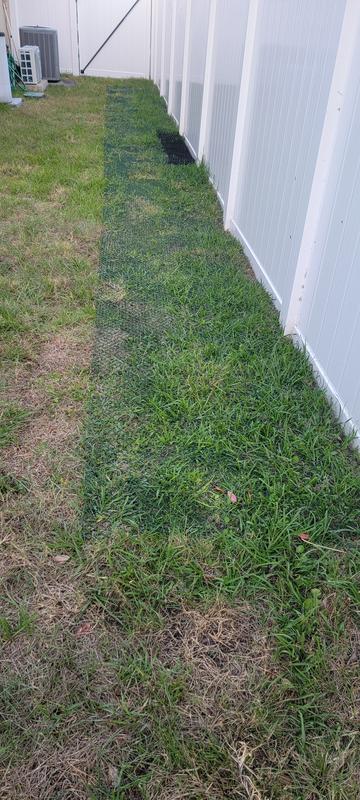 1 week after install