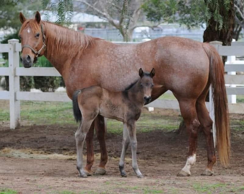 A Pretty Good Secret