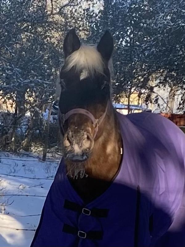 Jake the 'old man' in the Texas 2021 freeze