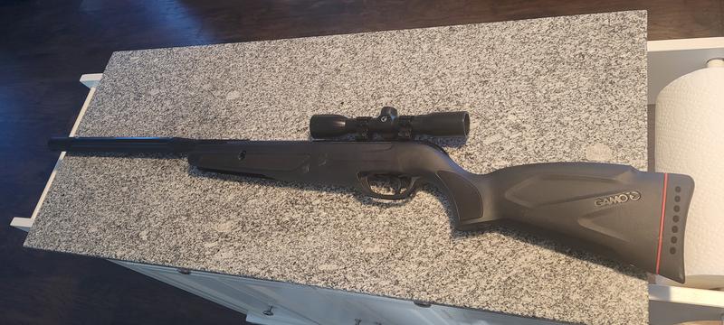 Gamo wilcat whisper
