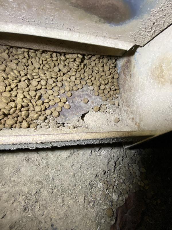 Look at all the rust on it! Only had for 2 and half years