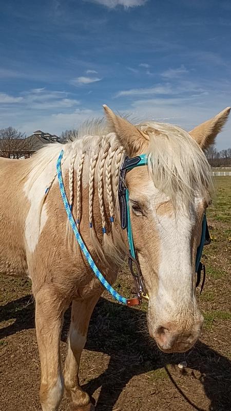 Shown with snaffle bit, first time put on. Product does not include bit.