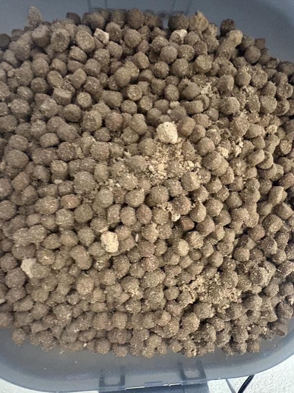 Kibbles powdery   I bought in store they were not this way