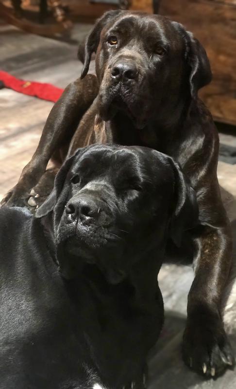Odin & Hela