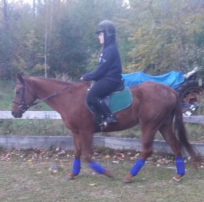 My daughter riding English, on Star