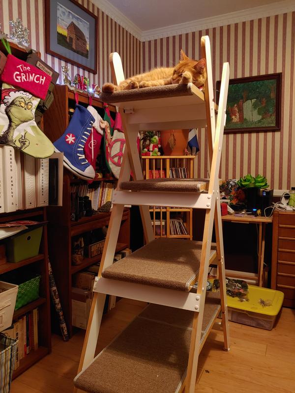 Nabs already claiming top spot!