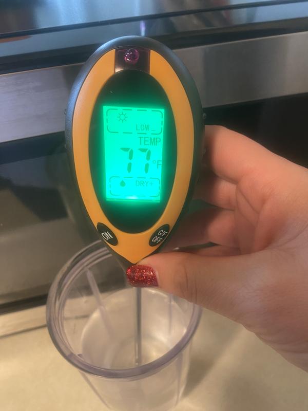 Dry + moisture and Low - light, in a brightly lit room and a cup of water