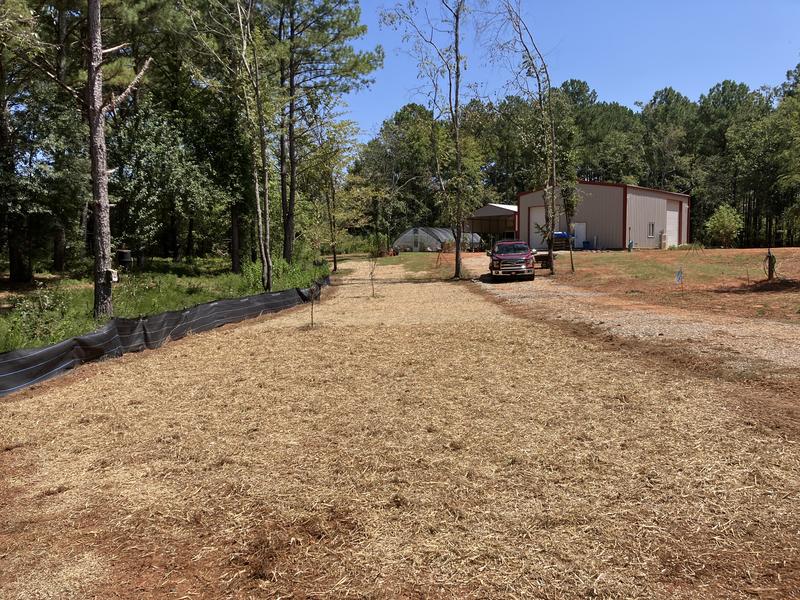 2-String Coastal Bermuda Hay Horse Feed at Tractor Supply Co