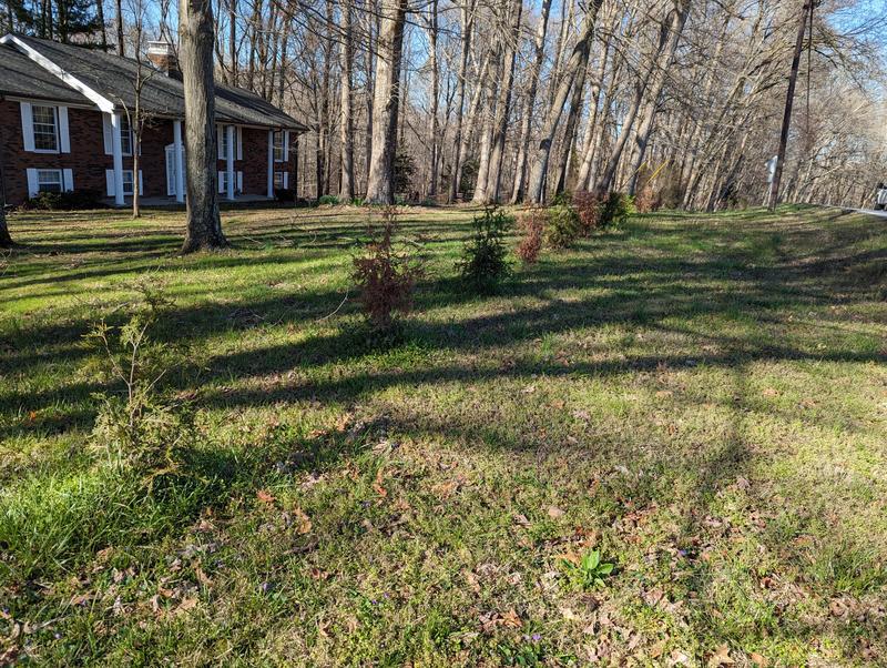 Primary location, showing all 5 from previous purchase