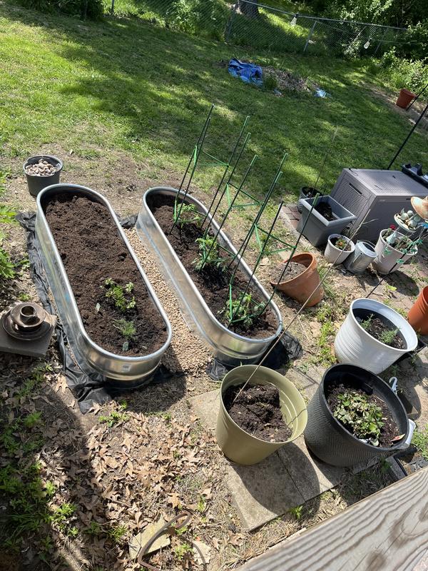 My planters mini garden