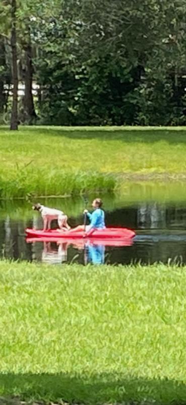 Water Dog training
