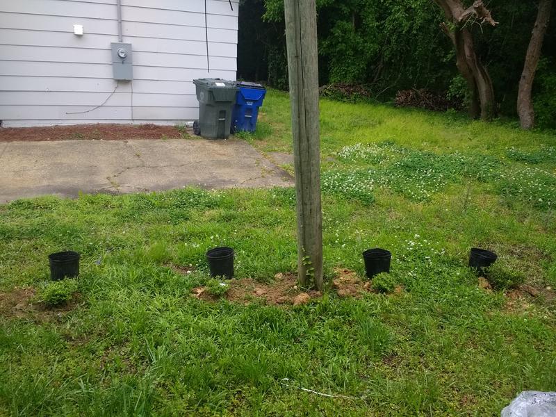 Big ones on the ends, small ones next to the pole
