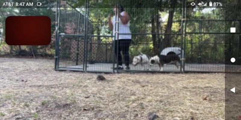 The start. Excited to see the ending result. Will post pictures after grass has grown.