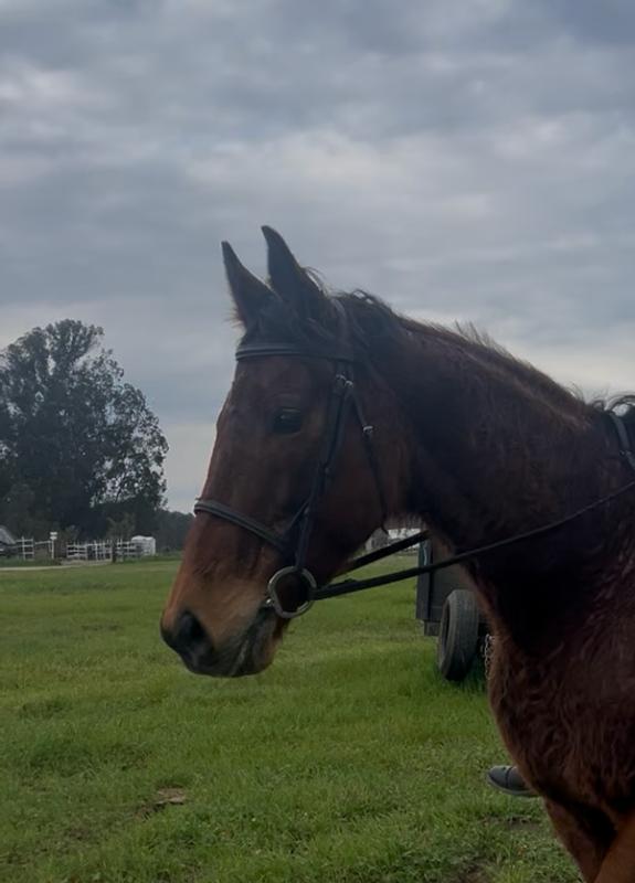 What it actually looks like