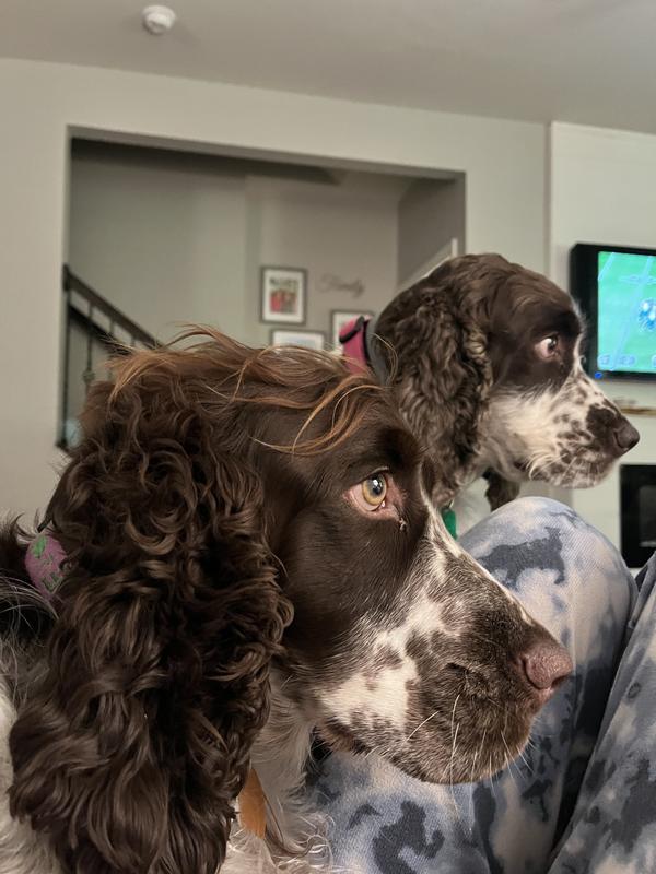 The girls!