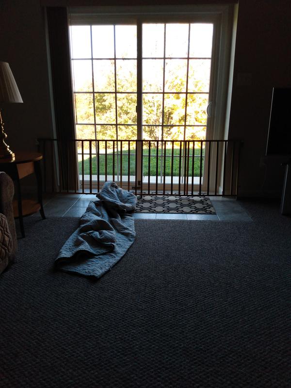 Telescoping gate protecting my sliding glass door from Doberman.