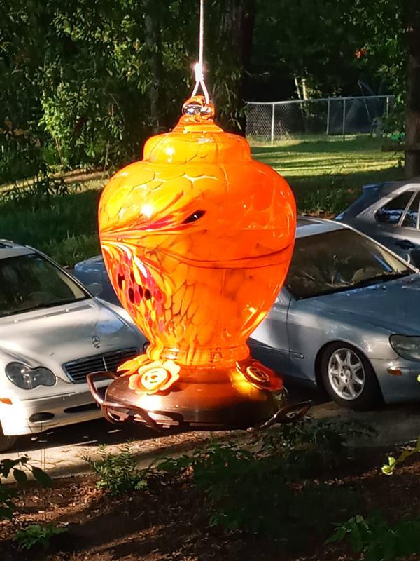 Colorful feeder!