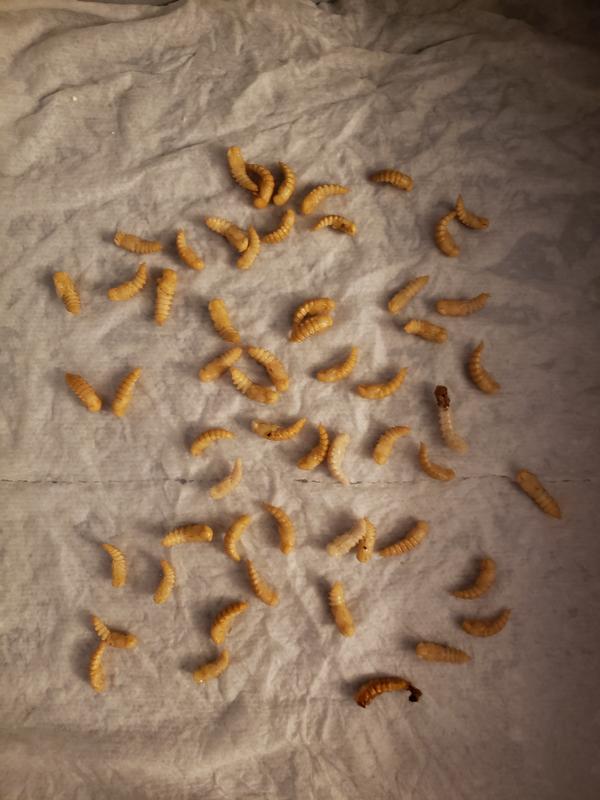 Review photo 2.
