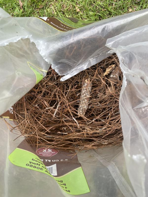 Pennington 2.3 cu. ft. Penn 2.3 cu. ft. Compressed Pine Straw at ...