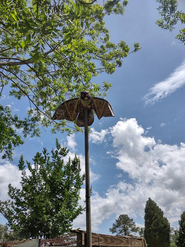 10 feet up.Properly Mounted.