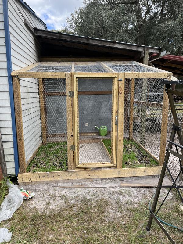 Secure chicken run